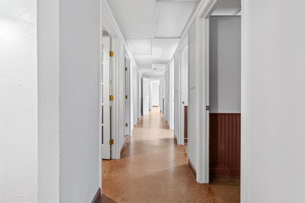 4 Paws Add - Commercial Sale