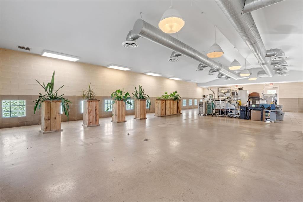 4 Paws Add - Commercial Sale