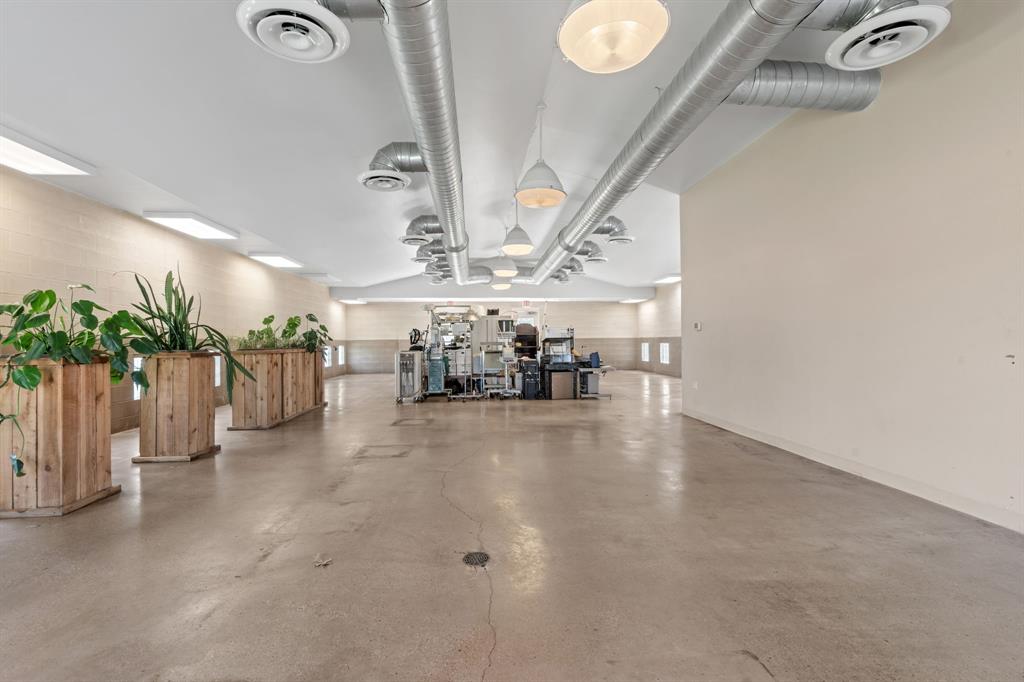 4 Paws Add - Commercial Sale