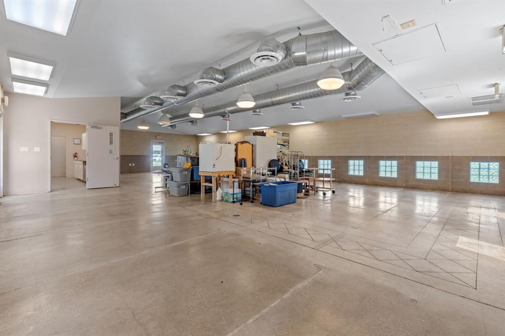 4 Paws Add - Commercial Sale