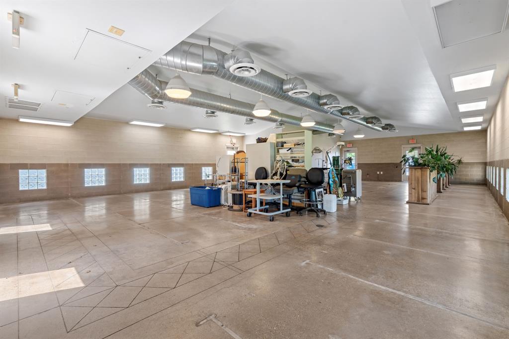 4 Paws Add - Commercial Sale