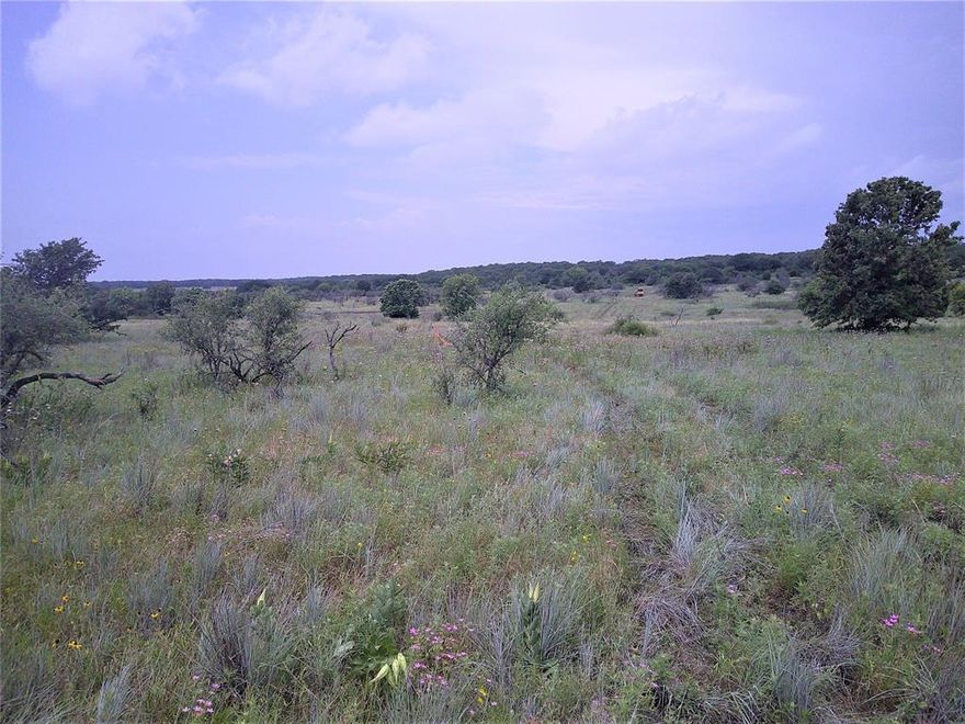 Yes you can own a piece of Texas with Minerals!! What a beautiful 25 ac tract of land overloooking the north Texas hill country with mature oaks, elevation changes,  and plenty of wildlife. The perfect recreational tract of land to call home with minimal restrictions, no mobiles, no mfg homes, site built only. Come out and pick the tract of land that suits you best. Electricity available, in area of good water wells, property under ag for low taxes and just a short drive back to town. Look at plat in pictures of other tracts available.Partial minerals do convey!