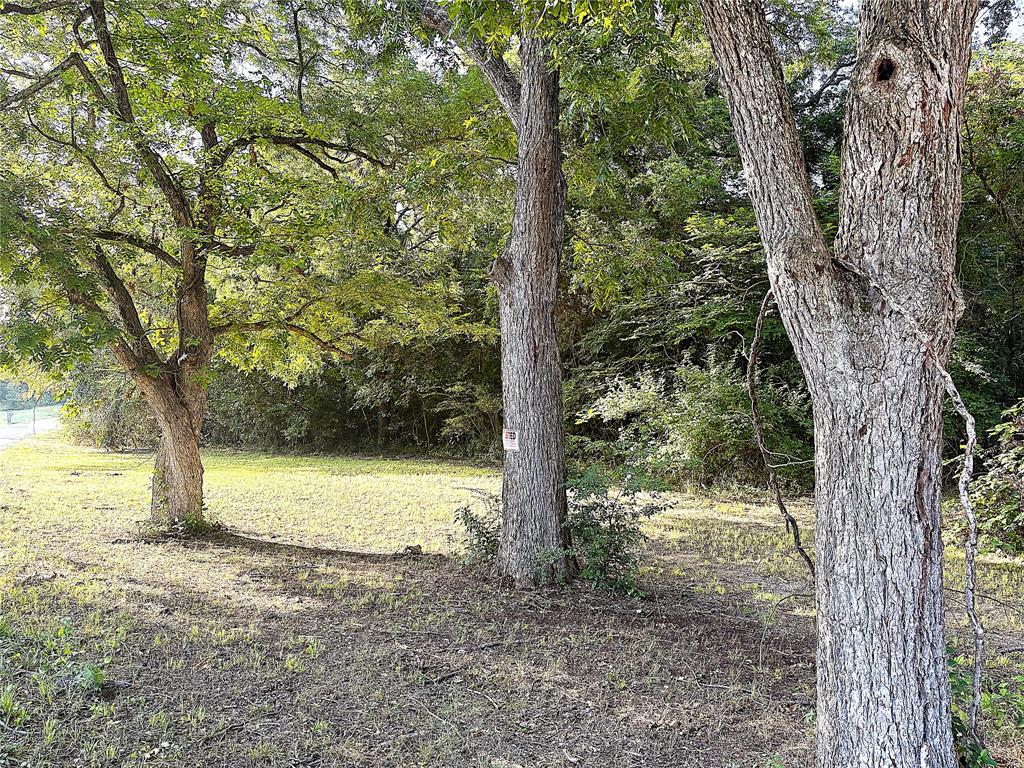 TBD Lil Arkansas Road