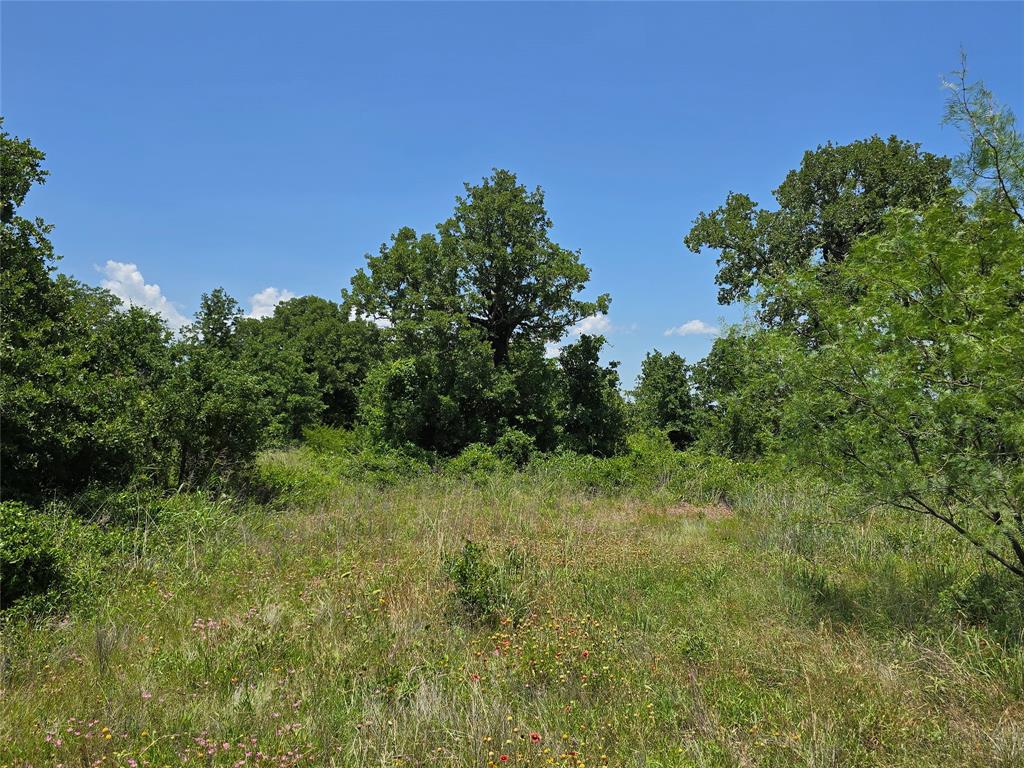 H&T J L Caudle 1828 - Farm