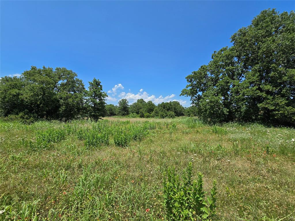 H&T J L Caudle 1828 - Farm