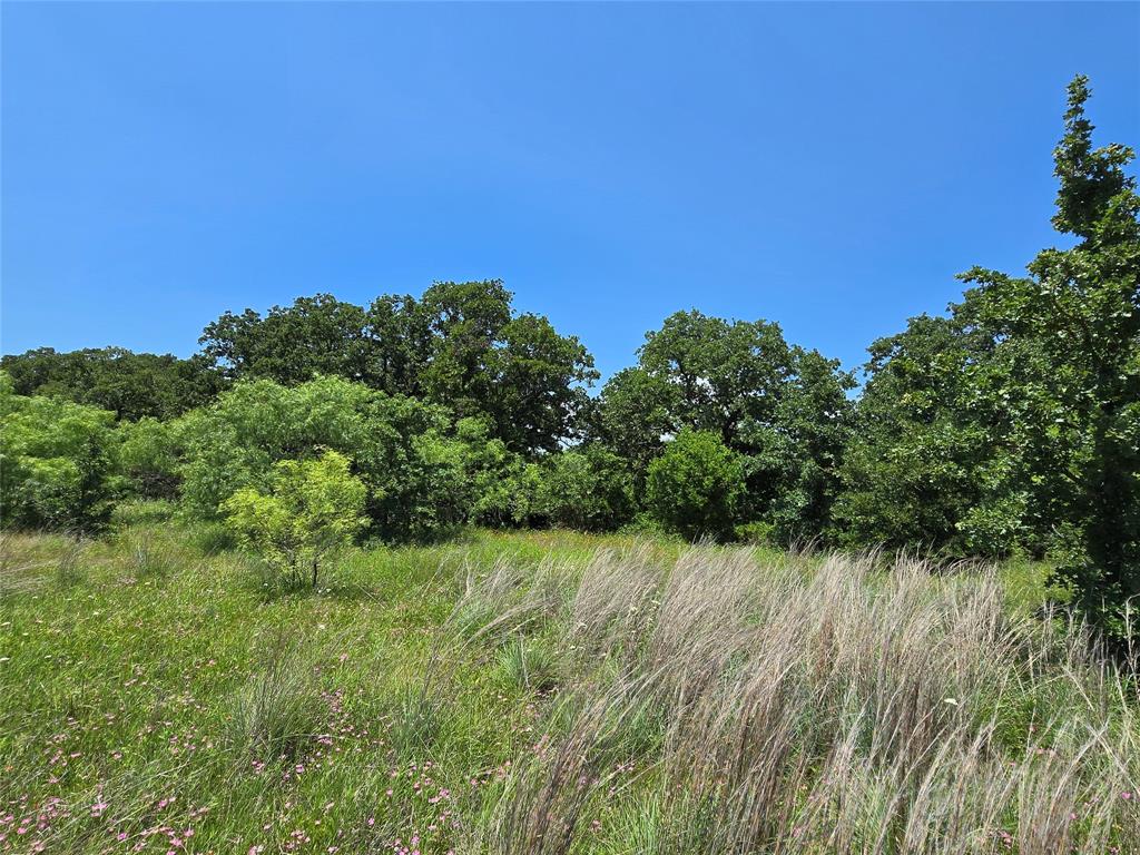 H&T J L Caudle 1828 - Farm