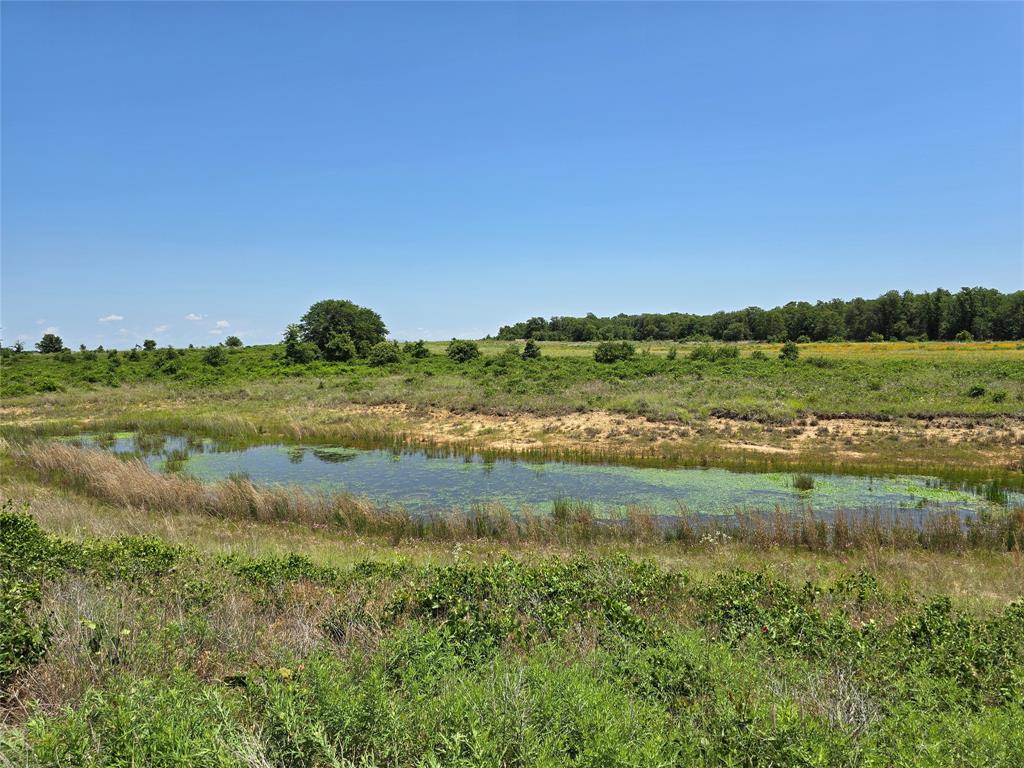 H&T J L Caudle 1828 - Farm