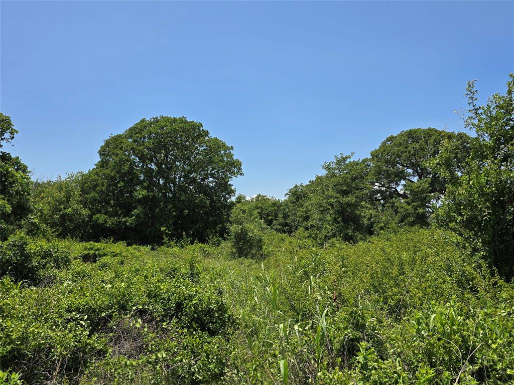 H&T J L Caudle 1828 - Farm