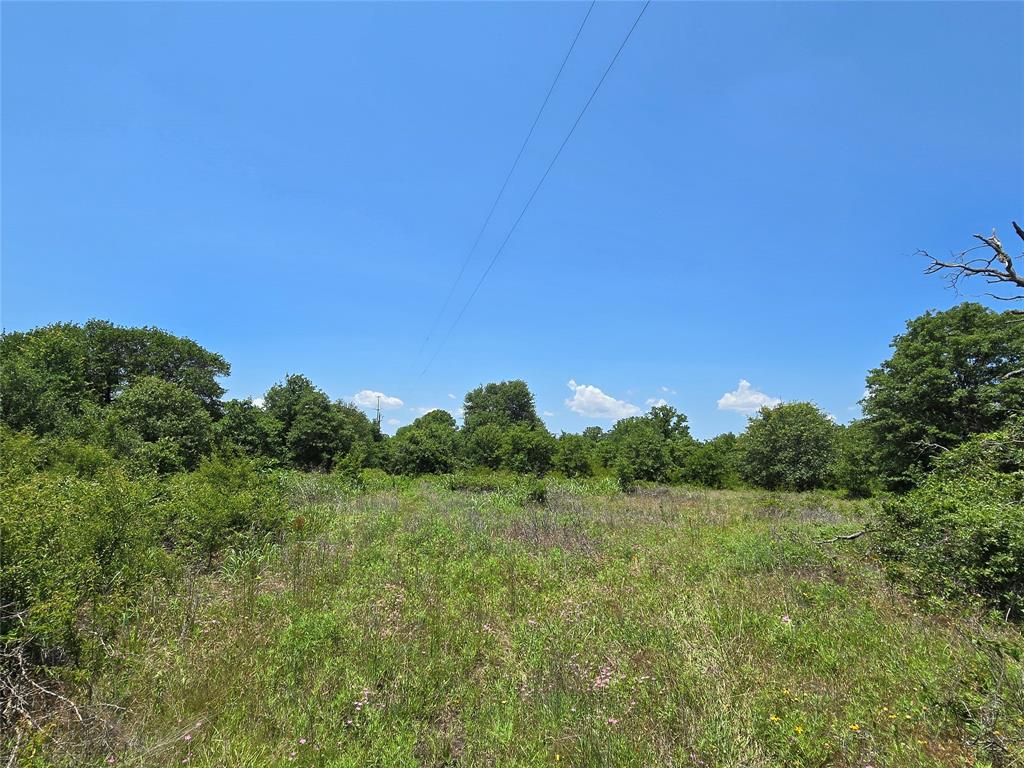 H&T J L Caudle 1828 - Farm