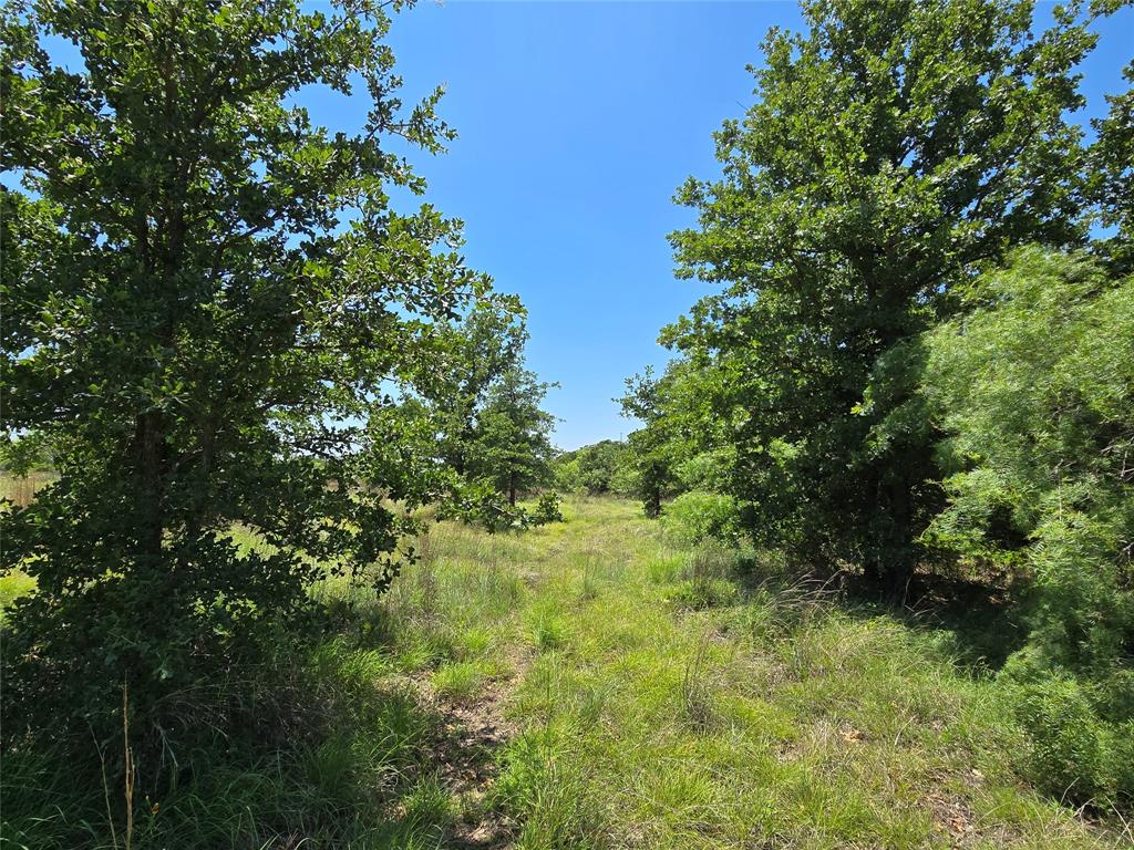 H&T J L Caudle 1828 - Farm