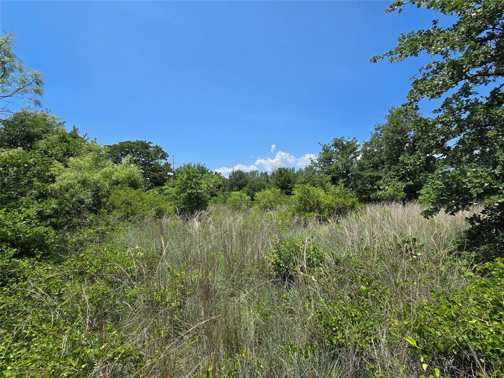 H&T J L Caudle 1828 - Farm