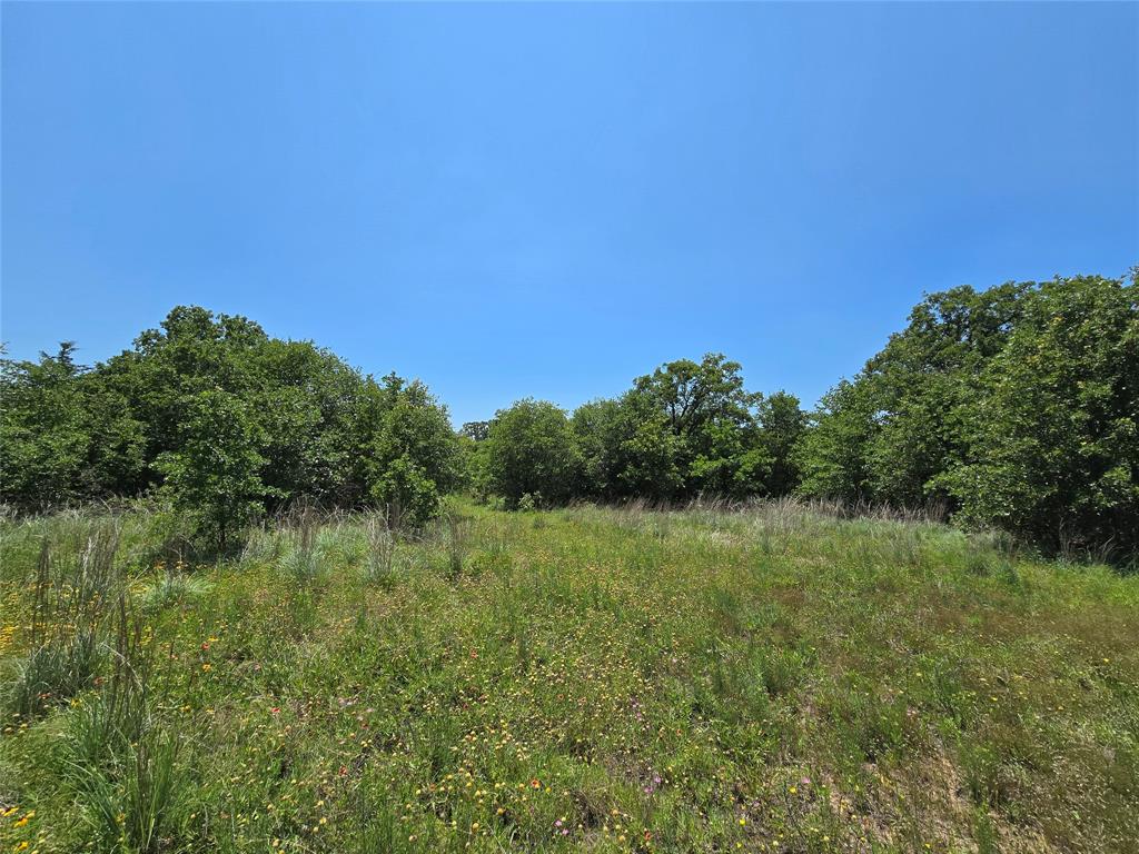 H&T J L Caudle 1828 - Farm