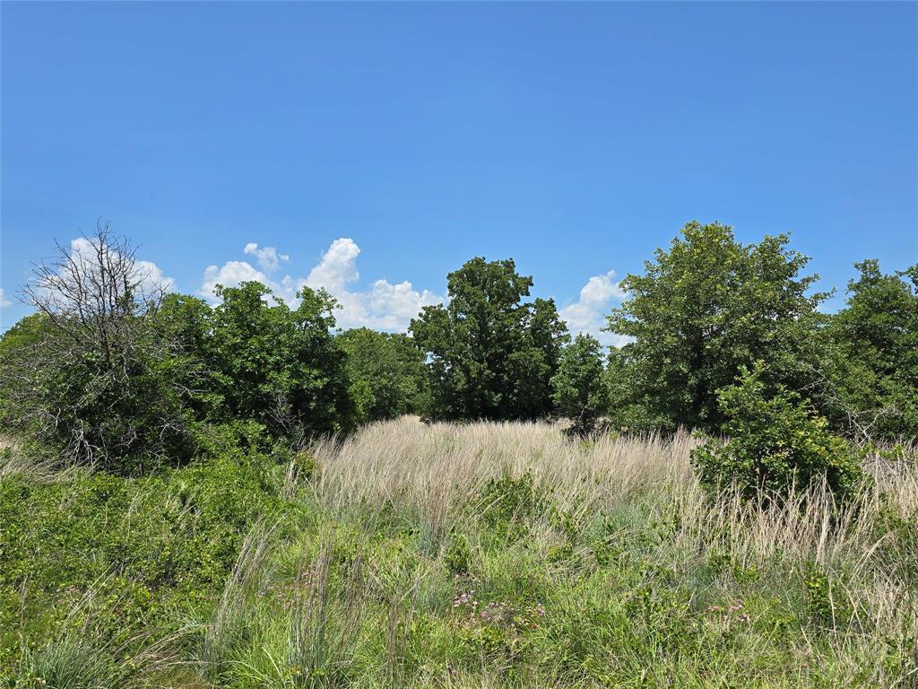 H&T J L Caudle 1828 - Farm