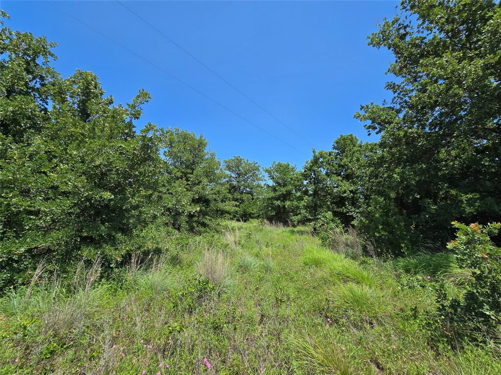 H&T J L Caudle 1828 - Farm