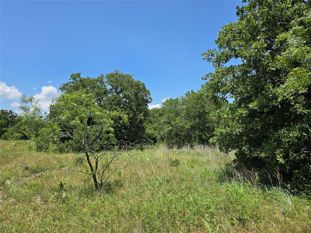 H&T J L Caudle 1828 - Farm