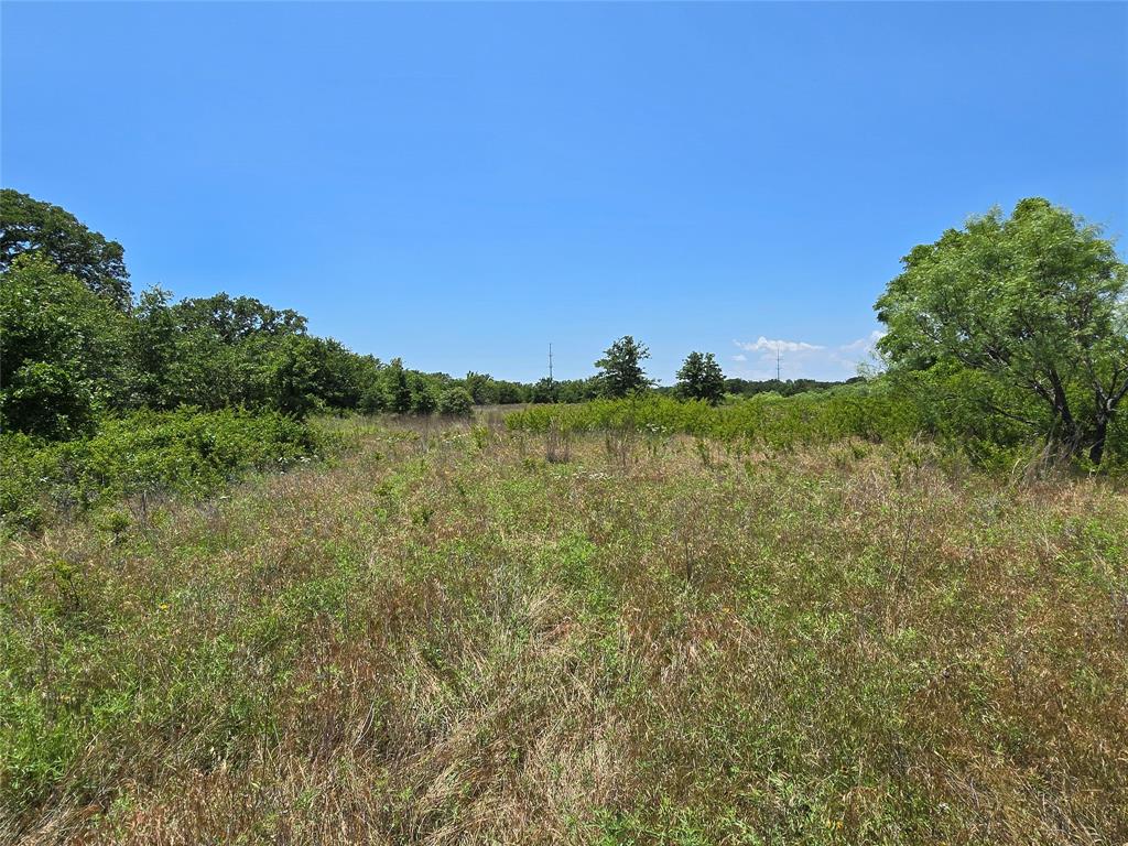 H&T J L Caudle 1828 - Farm