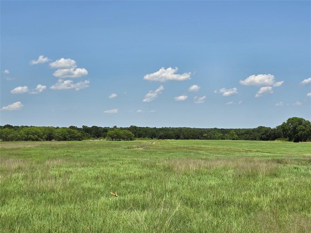 H&T J L Caudle 1828 - Farm