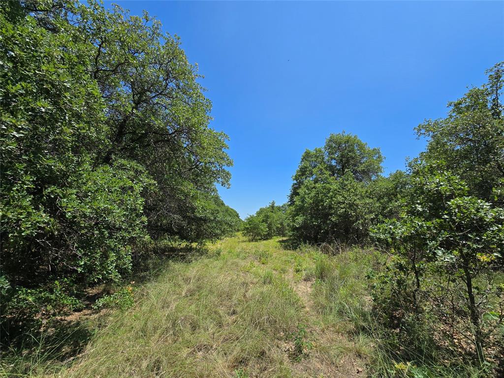 H&T J L Caudle 1828 - Farm