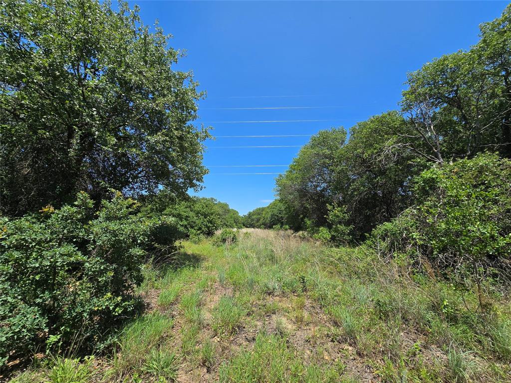 H&T J L Caudle 1828 - Farm