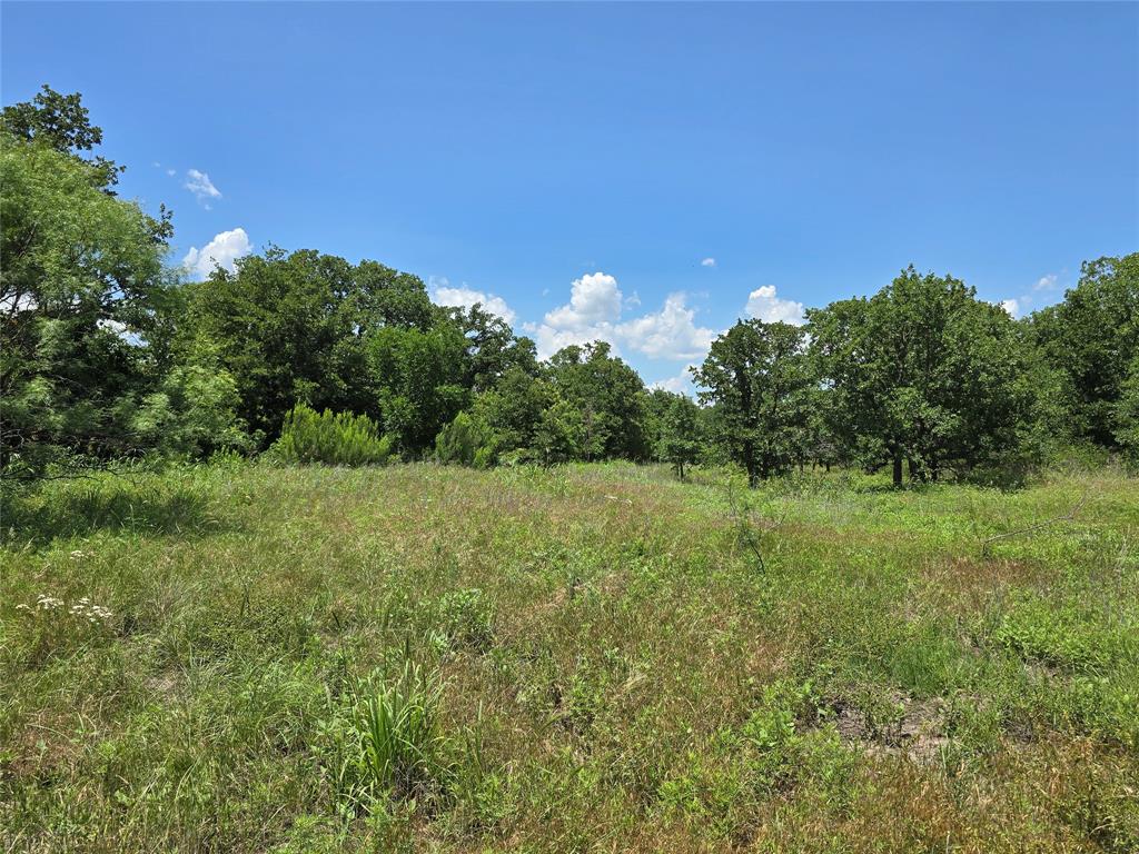 H&T J L Caudle 1828 - Farm