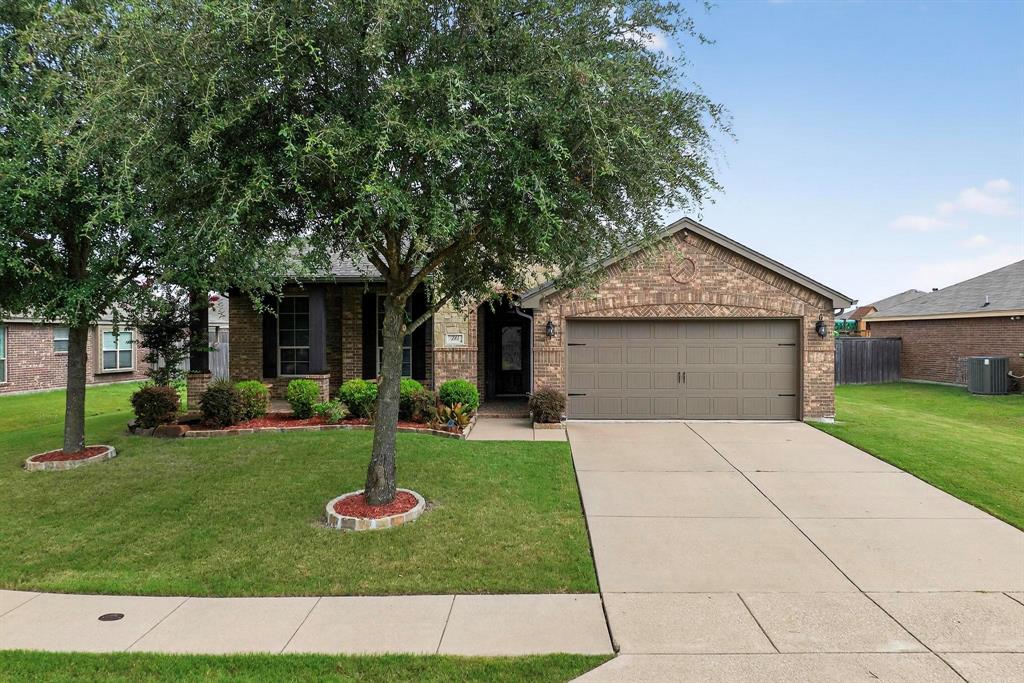 241 Wolf Drive