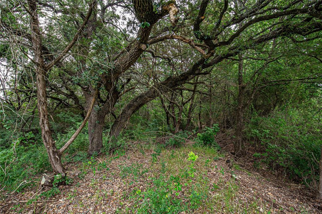TBD Gholson Road