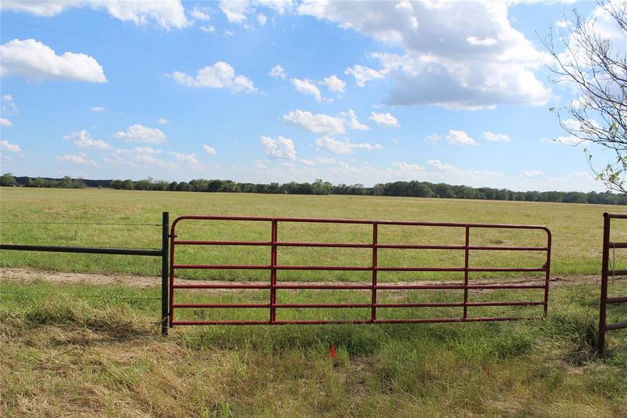 HUGE PRICE REDUCTION! Seller lost his job and must sell - Hurry to make your offer on this gorgeous property

Beautiful Rangeland Native 10.01 acres. Partially fenced with barbed wire and pipe gate. The seller has brought Lamar
County water and electricity to the property, This is a corner lot and can be accessed from the paved FM197 or the
gravel road CR14680. What a great opportunity to build your dream home farm or ranch. Serene country setting is just
waiting for you Zoned for residential and Ag use. No mobile homes allowed. No pigs or peacocks are allowed. Buyer
and Buyer's agent should verify all facts including any deed restrictions, zoning, schools, et cetera.