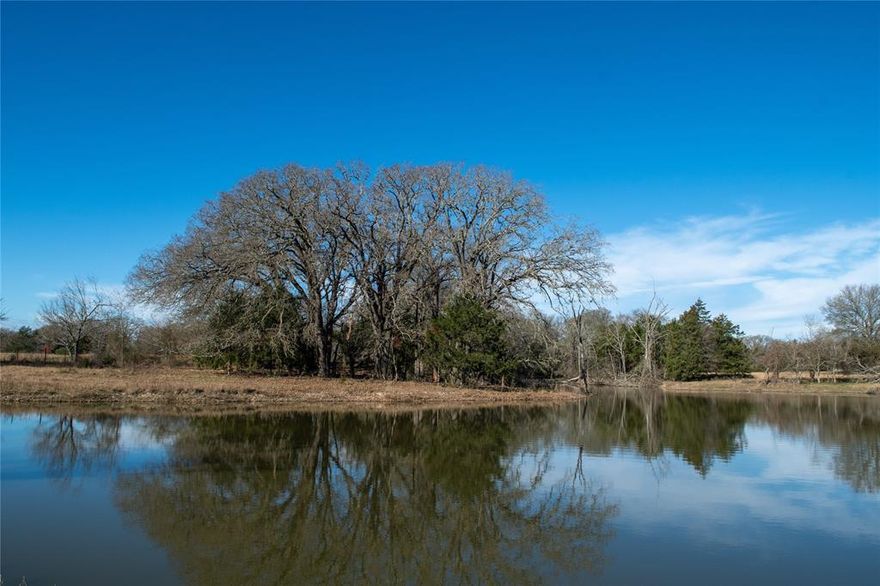 The Comanche Camp Ranch represents a true central Texas rarity. Beautifully framed by over 1.5 miles of the pecan tree-lined Navasota River, the property is rich with wildlife, grazing opportunity, and awe-inspiring vistas around every bend. Owned by the same family for two generations, this property has been deliberately managed and now awaits a new owner with respect for its past and future.

Situated only a few minutes from Groesbeck in centrally positioned Limestone County, this ranch offers ease of both local and regional accessibility, highly productive soils, and the coveted rolling beauty of a river bottom ranch. The 230 acres are currently operated under a rotational grazing system, utilizing 3 separate pastures, allowing for proper rest and promoting a healthy ranch.

Perched atop one of the highest points of the property is a simple ranch house and carport . Exterior and interior fencing is also turnkey.

LOCATION:
The Comanche Camp Ranch’s location is about as close to perfect as one property can get, boasting less than a 2.5-hour drive from all three major metros, including Dallas, Houston, and Austin.

Additionally, this property sits only 3 miles from Groesbeck, allowing less than 10 minutes’ access to amenities like the Brookshires grocery store, a variety of restaurants, and several stores covering most all ranching needs. Distances to Texas’ Metroplexes from the front gate are listed below.

Dallas: 1.5 hours
Austin: 2.25 hours
Houston: 2.5 hours
San Antonio: 3.5 hours

TOPOGRAPHY, RANGELAND & HABITAT:
The Comanche Camp Ranch displays the favorable characteristics one would expect of a well-managed river ranch. Enjoying a significant ~50’ of elevation change, large old growth hardwood trees, including species like Post Oak, Water Oak, and Pecan, and dark sediment-rich blackland soils characteristic of this commonly celebrated ecoregion known as the Blackland prairie.