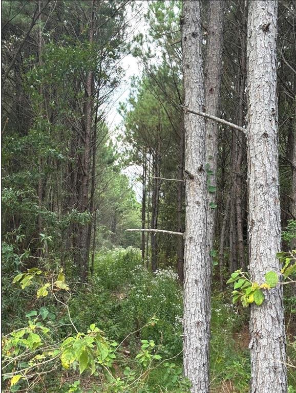 TBD County Road 1582