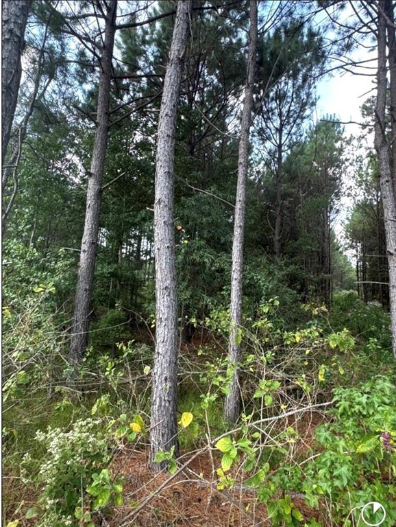 TBD County Road 1582