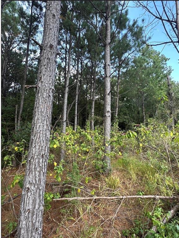 TBD County Road 1582