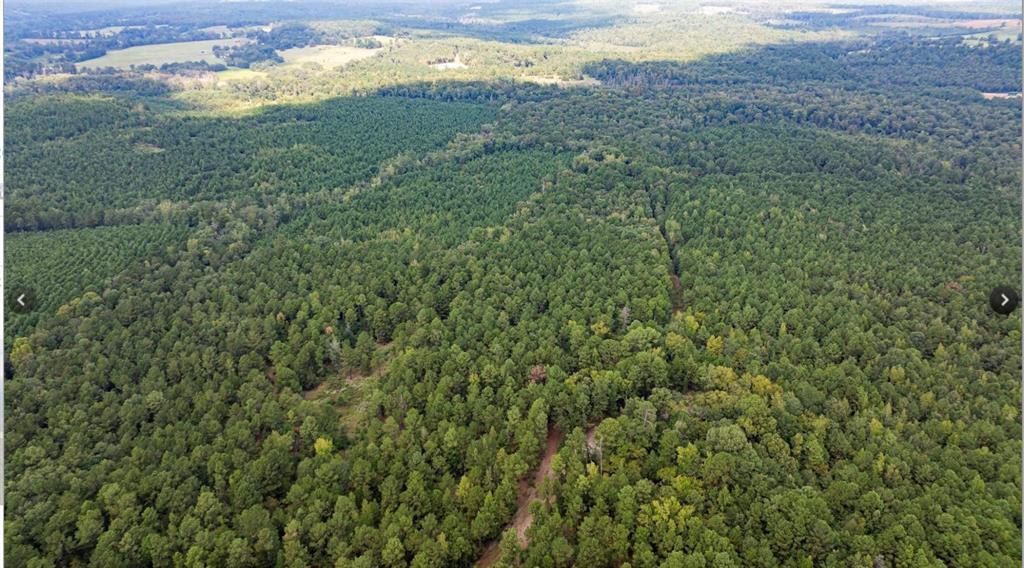 TBD County Road 1582