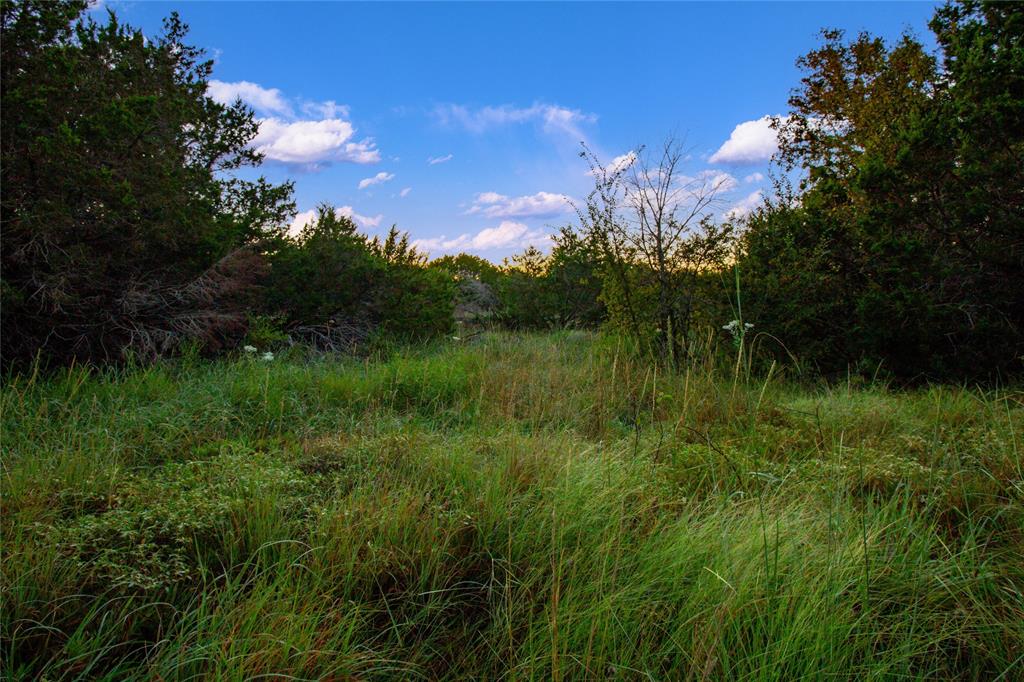 McClure Mountain Ranch - Land