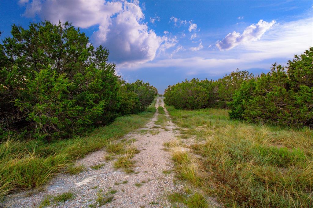 McClure Mountain Ranch - Land