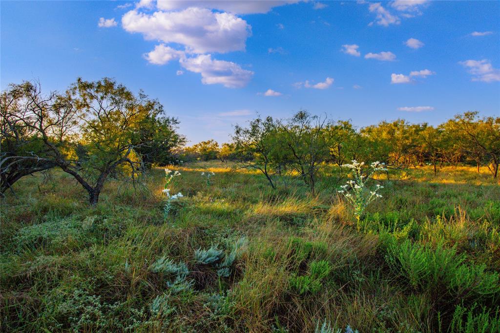 McClure Mountain Ranch - Land