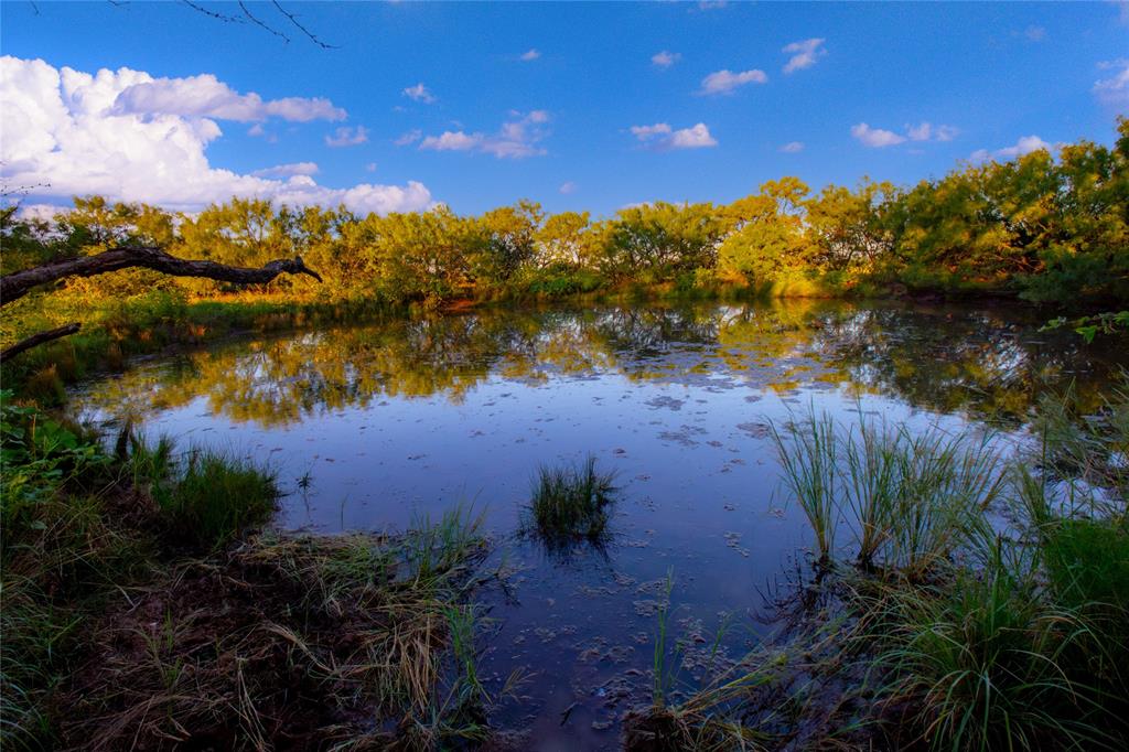McClure Mountain Ranch - Land
