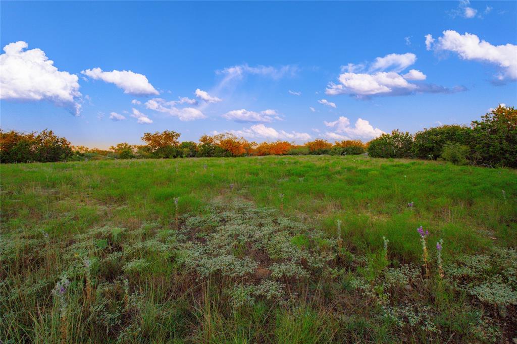 McClure Mountain Ranch - Land