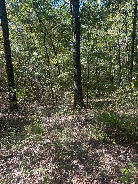 394 Denmon Road