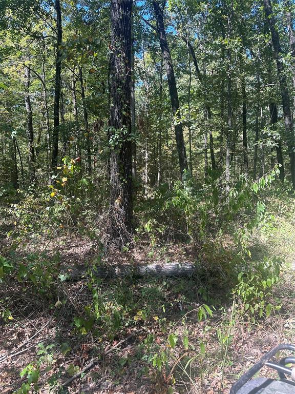 394 Denmon Road