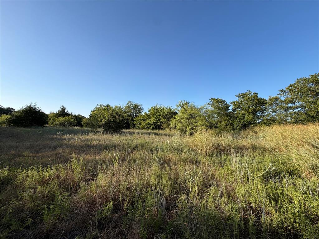 13301 Greengrove Lane