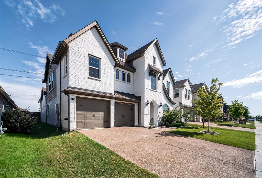 411 Rock Rose