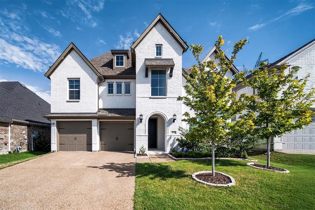 411 Rock Rose