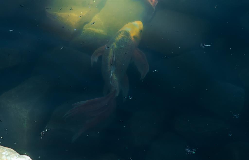 Preston Club Estates - Residential