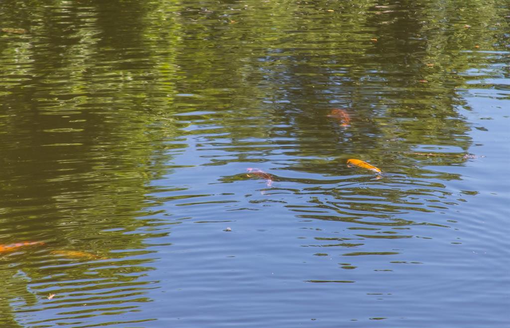 Preston Club Estates - Residential