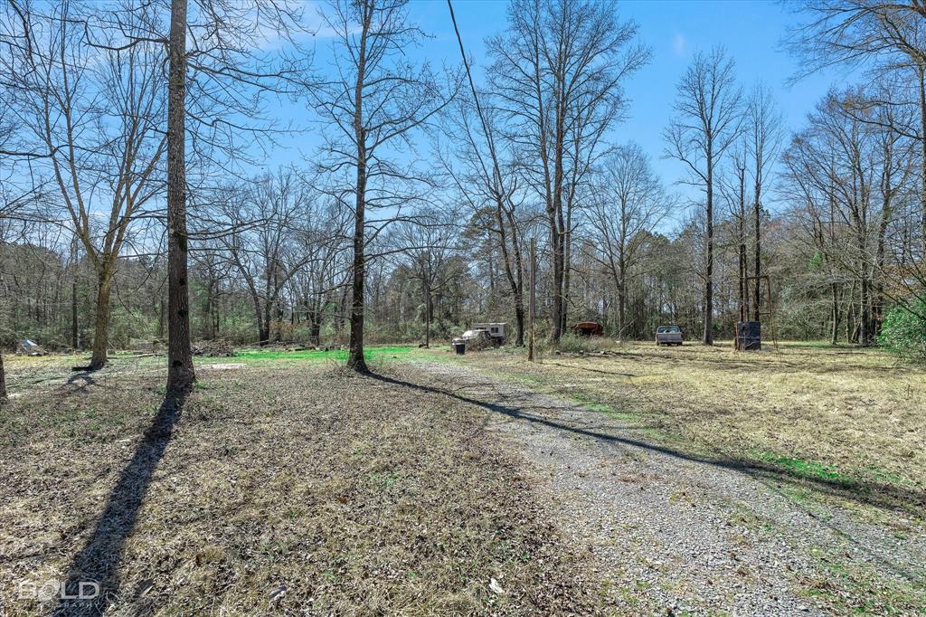 Doyline, Louisiana 71023, United States, ,Land,Active,82094