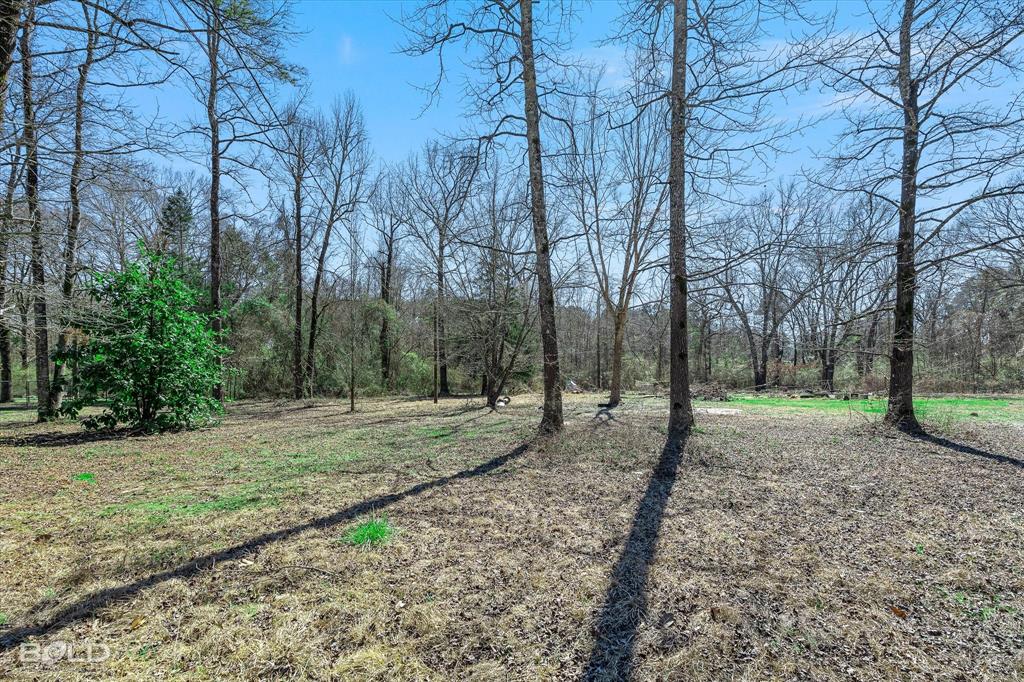 Doyline, Louisiana 71023, United States, ,Land,Active,82094