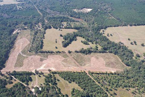 TBD-A County Road 4172D Laneville TX 75667