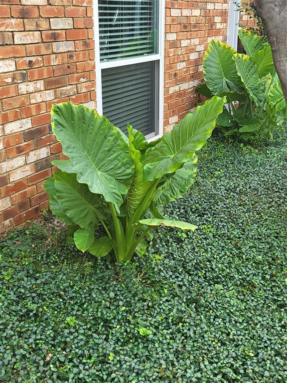 Hartford Condominiums - Residential