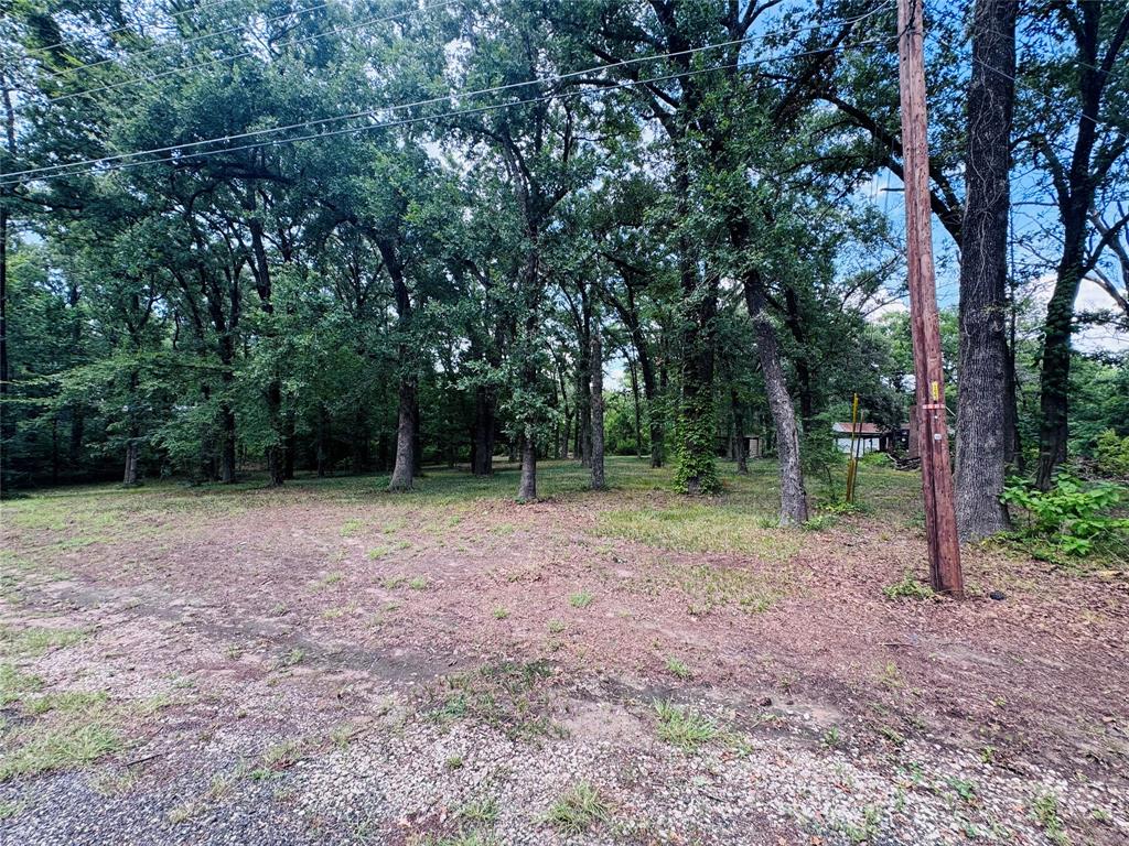 323 Sherie Lane