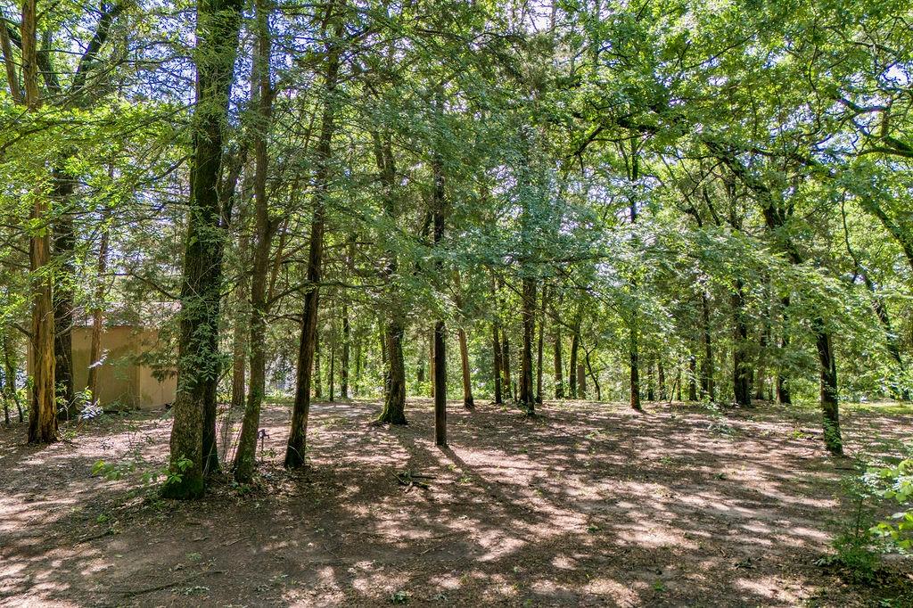 Lot 6 Camp Cypress Trail